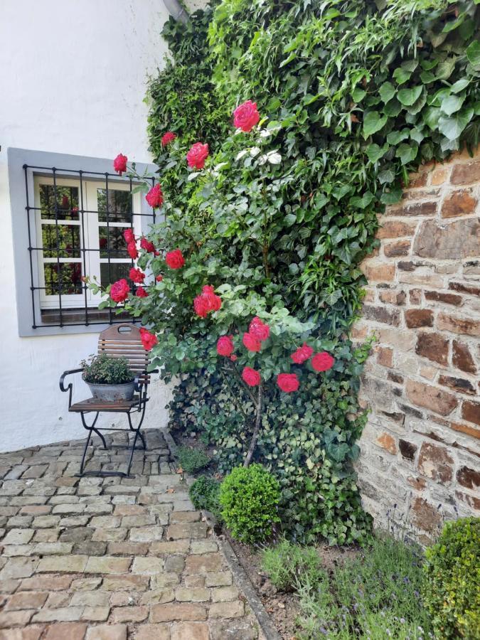 Hotel Maternushof Pomster Esterno foto